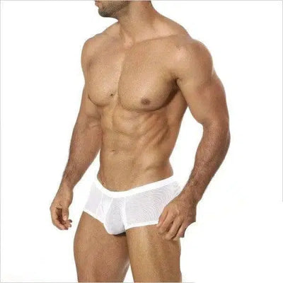 Full boxer-White-1