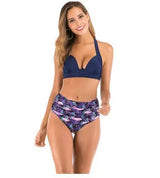 Sexy Printed High-waisted Two-piece Swimsuit-Flamingo-6